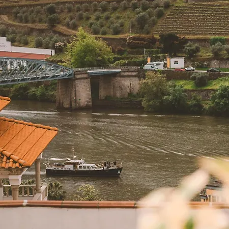Douro Panorama Valley *